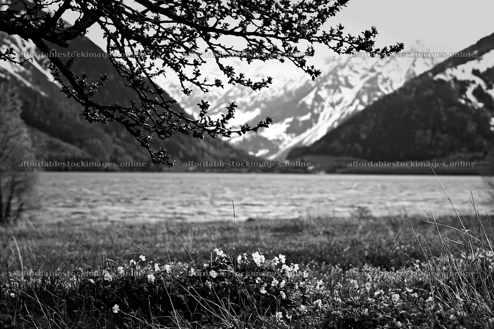 Lakeside orchard meadow with mountains and flowering plants – stock images 9722x6480