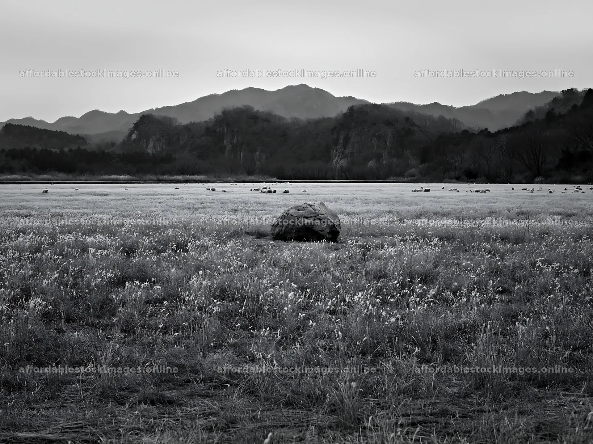 Yamaguchi limestone meadow with pale boulder in black and white – stock images 9174x6866