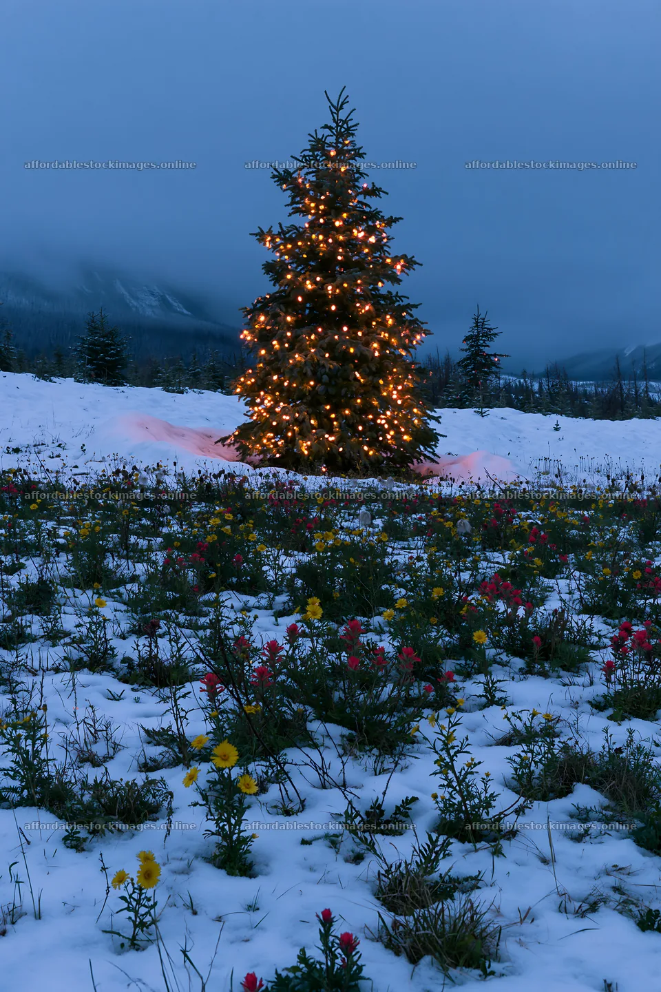 Christmas tree with lights in snowy mountain valley meadow – stock images 6480x9722