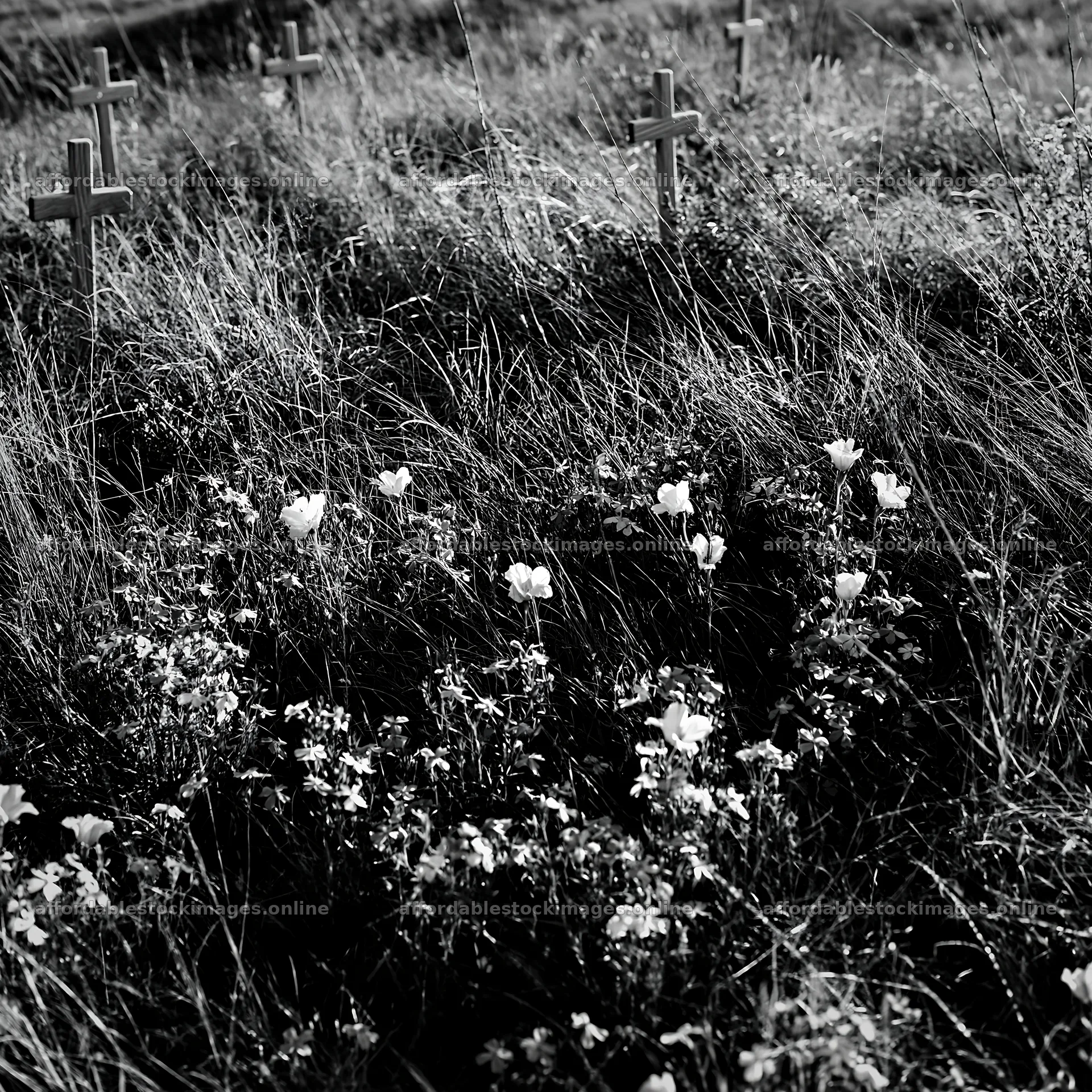 Christian crosses in a meadow with wildflowers – stock images 7938x7938