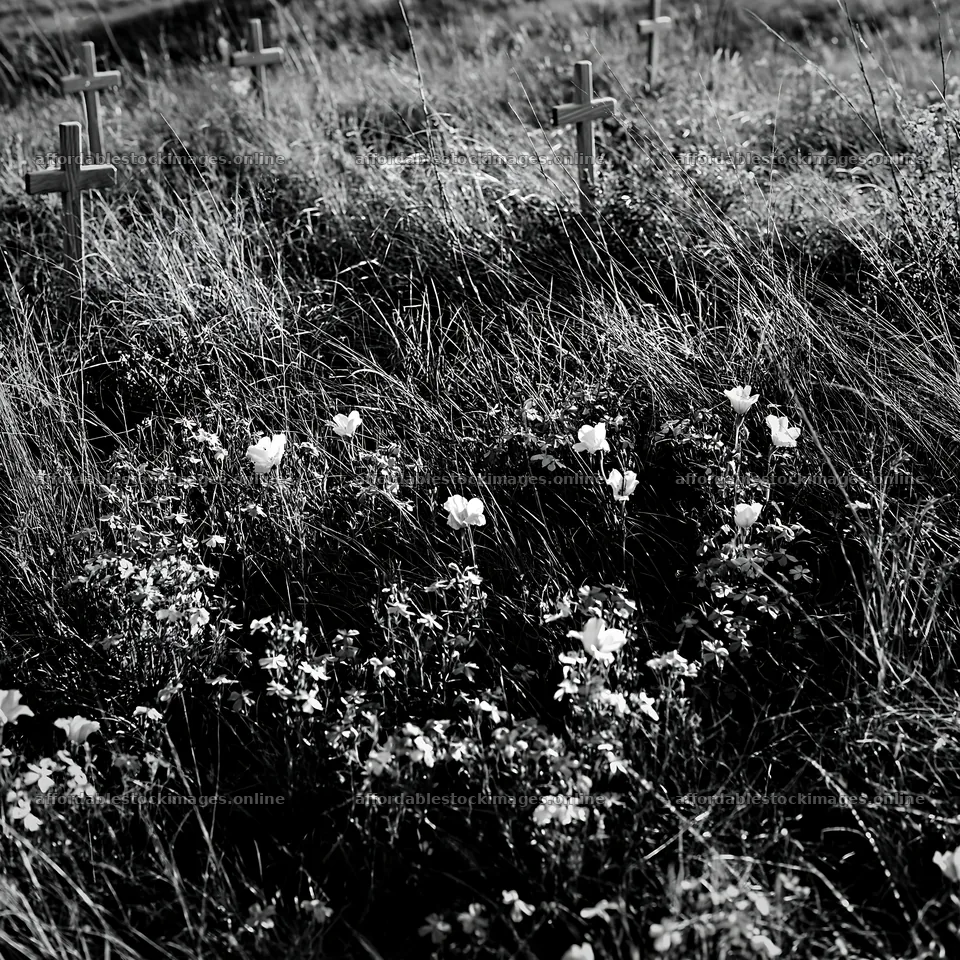 Christian crosses in a meadow with wildflowers – stock images 7938x7938