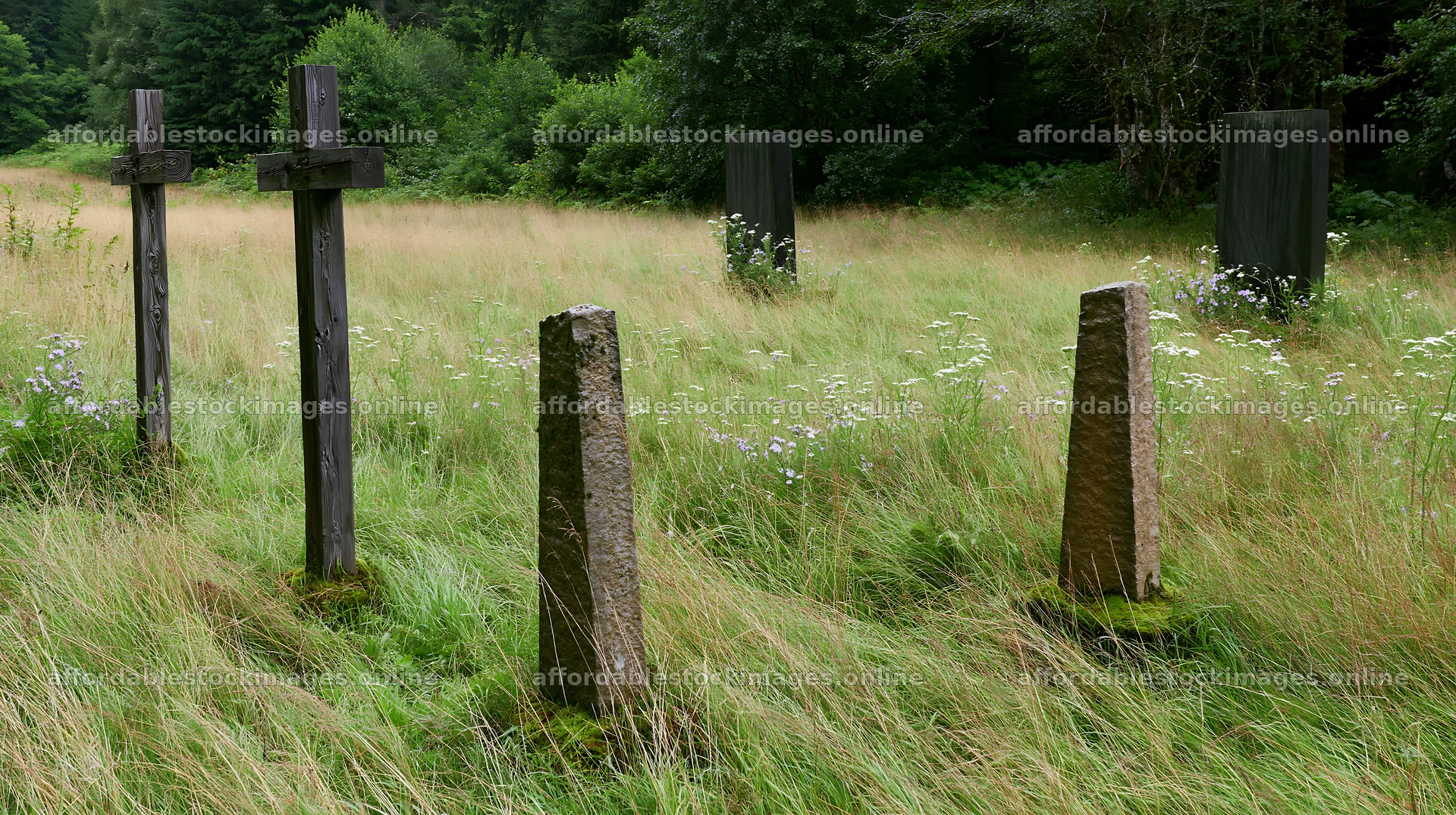Christian crosses in meadow with wildflowers in conservation – stock images 10608x5938