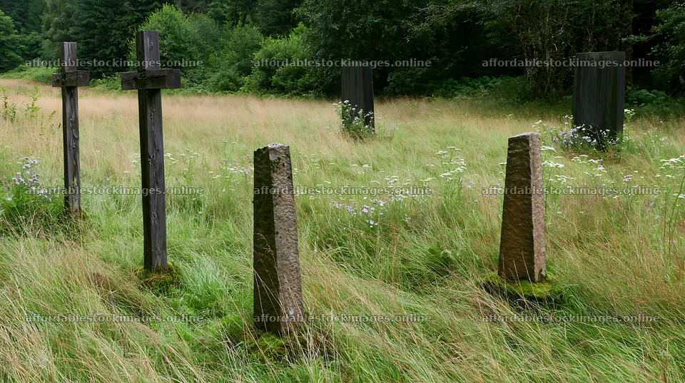 Christian crosses in meadow with wildflowers in conservation – stock images 10608x5938