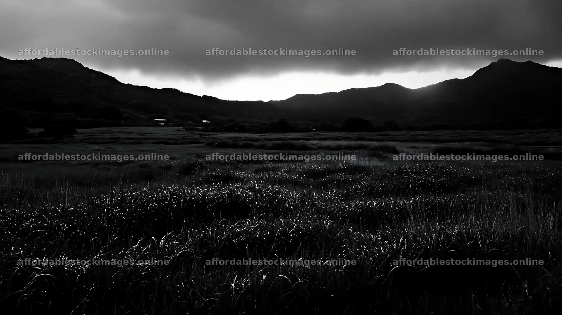 Miyazaki sunrise over meadow with dew covered sedges – stock images 10608x5938