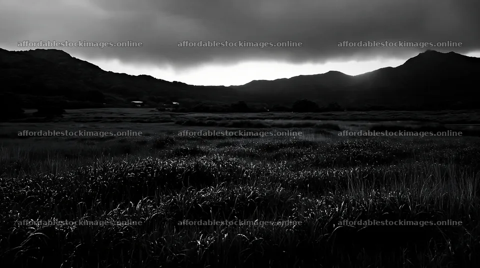 Miyazaki sunrise over meadow with dew covered sedges – stock images 10608x5938