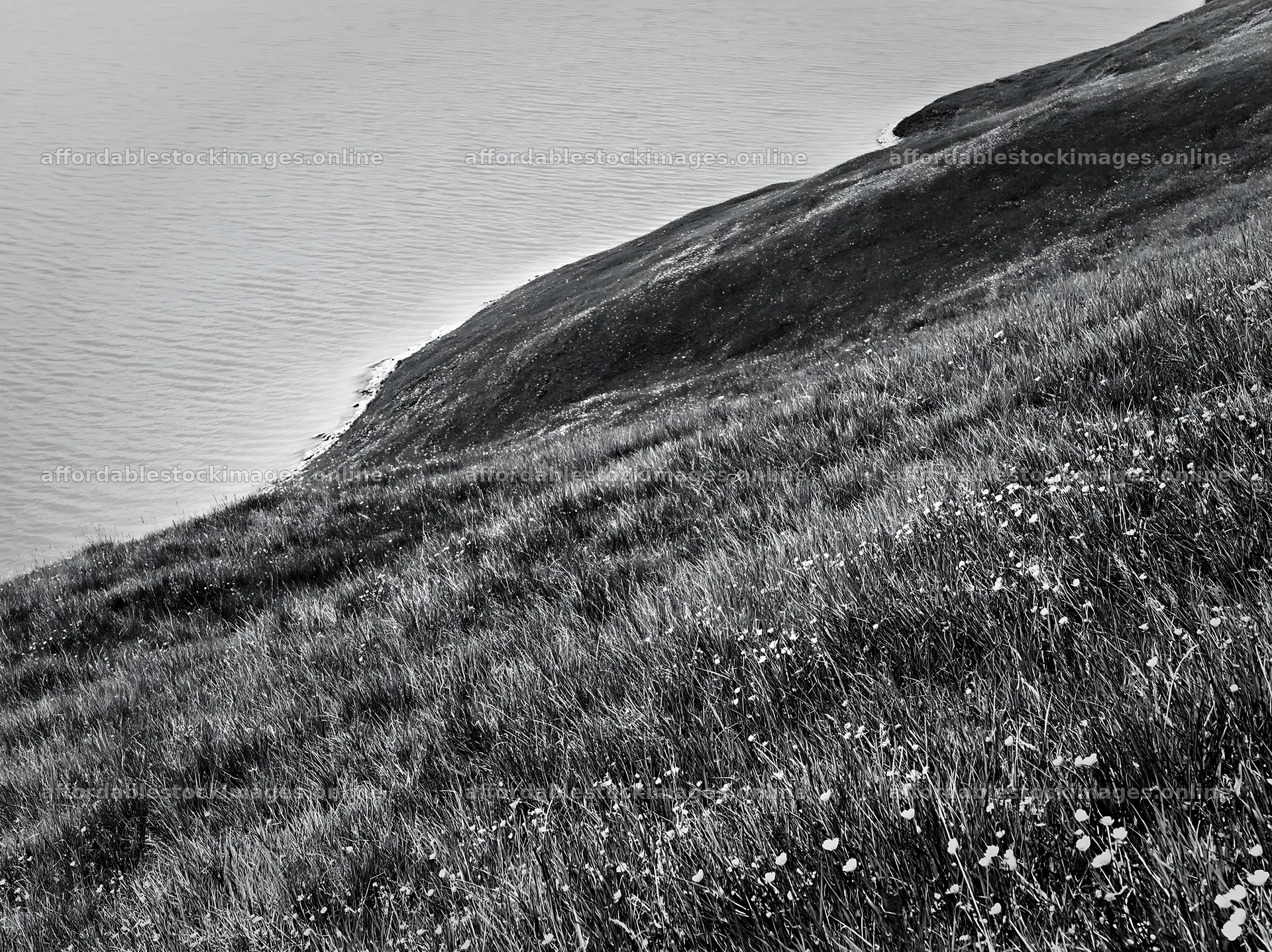 Swiss meadow near alpine lake in black and white – stock images 9174x6866