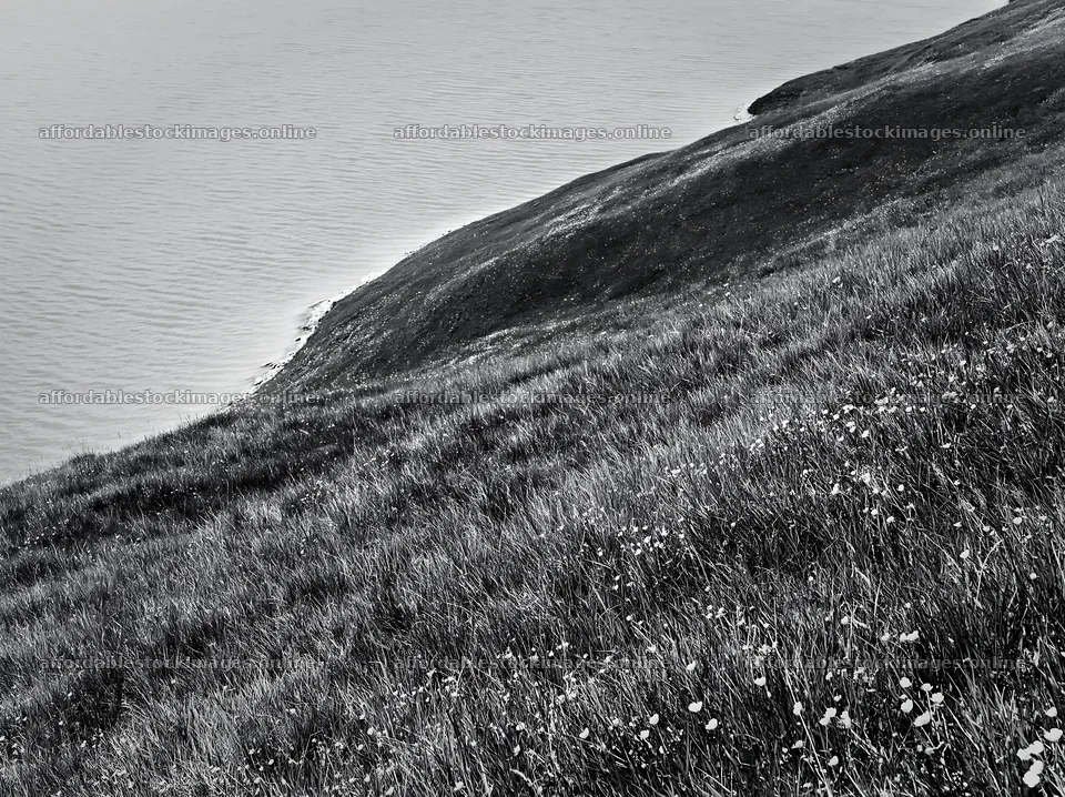 Swiss meadow near alpine lake in black and white – stock images 9174x6866