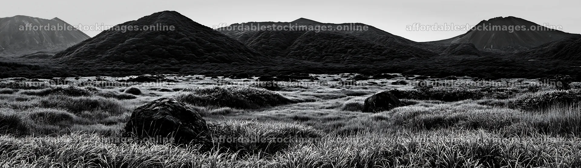 Aomori climate resilient meadow with boulder and mountains – stock images 14762x4268