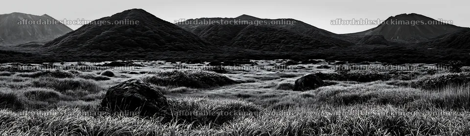 Aomori climate resilient meadow with boulder and mountains – stock images 14762x4268