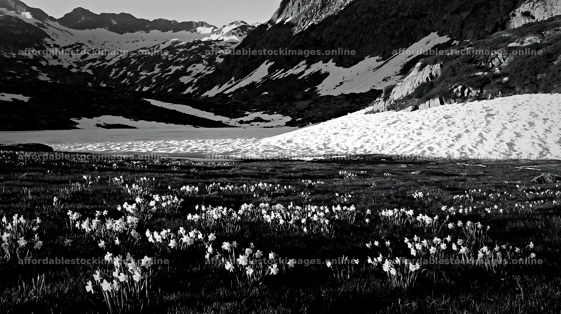 Frozen tarn meadow with snow-capped mountains in the background – stock images 10608x5938