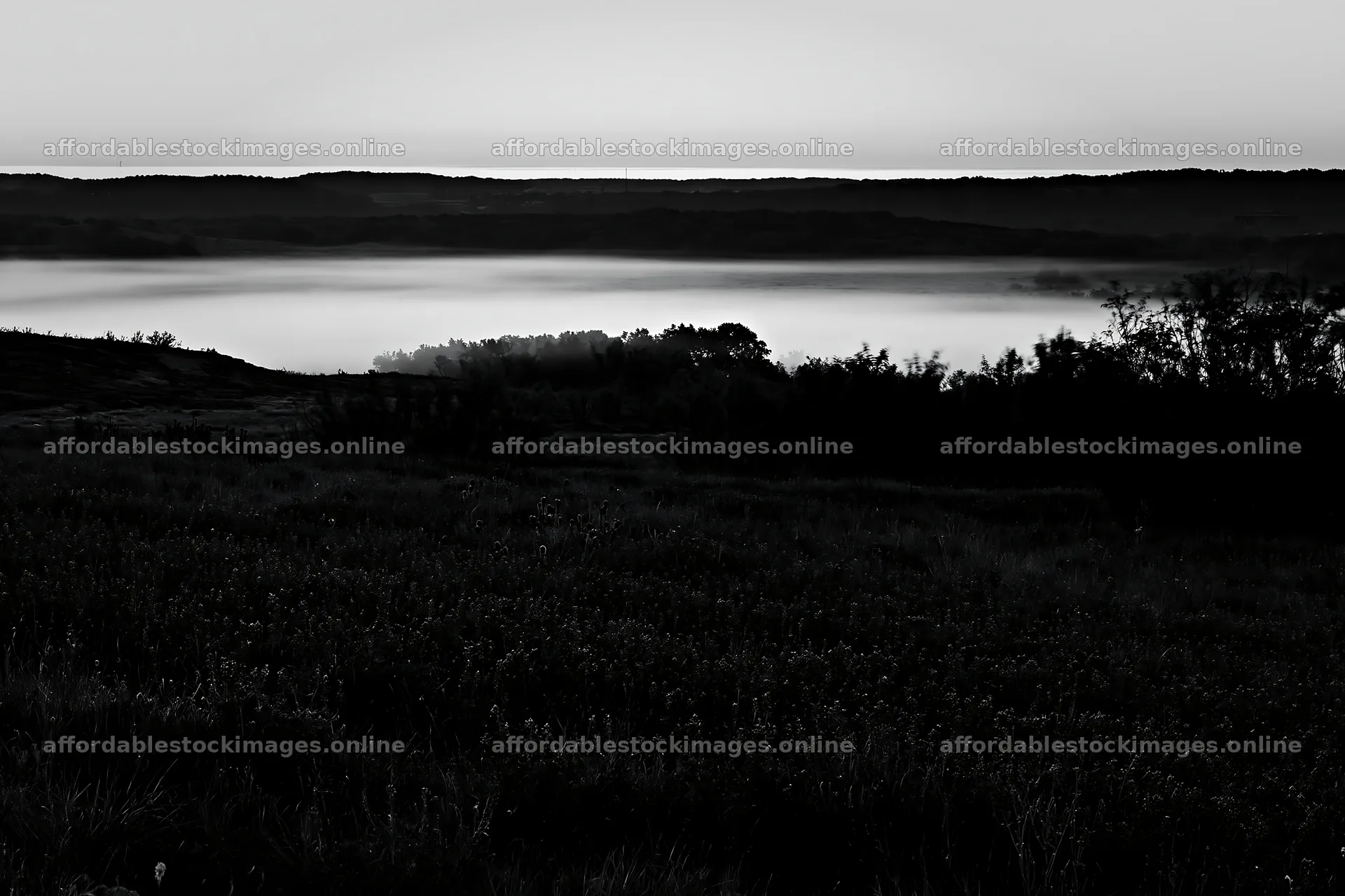 Bluebonnet meadow at sunrise with fog in the background – stock images 9722x6480