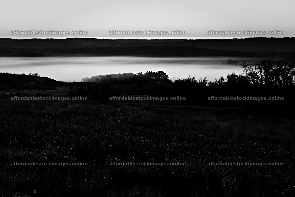 Bluebonnet meadow at sunrise with fog in the background – stock images 9722x6480
