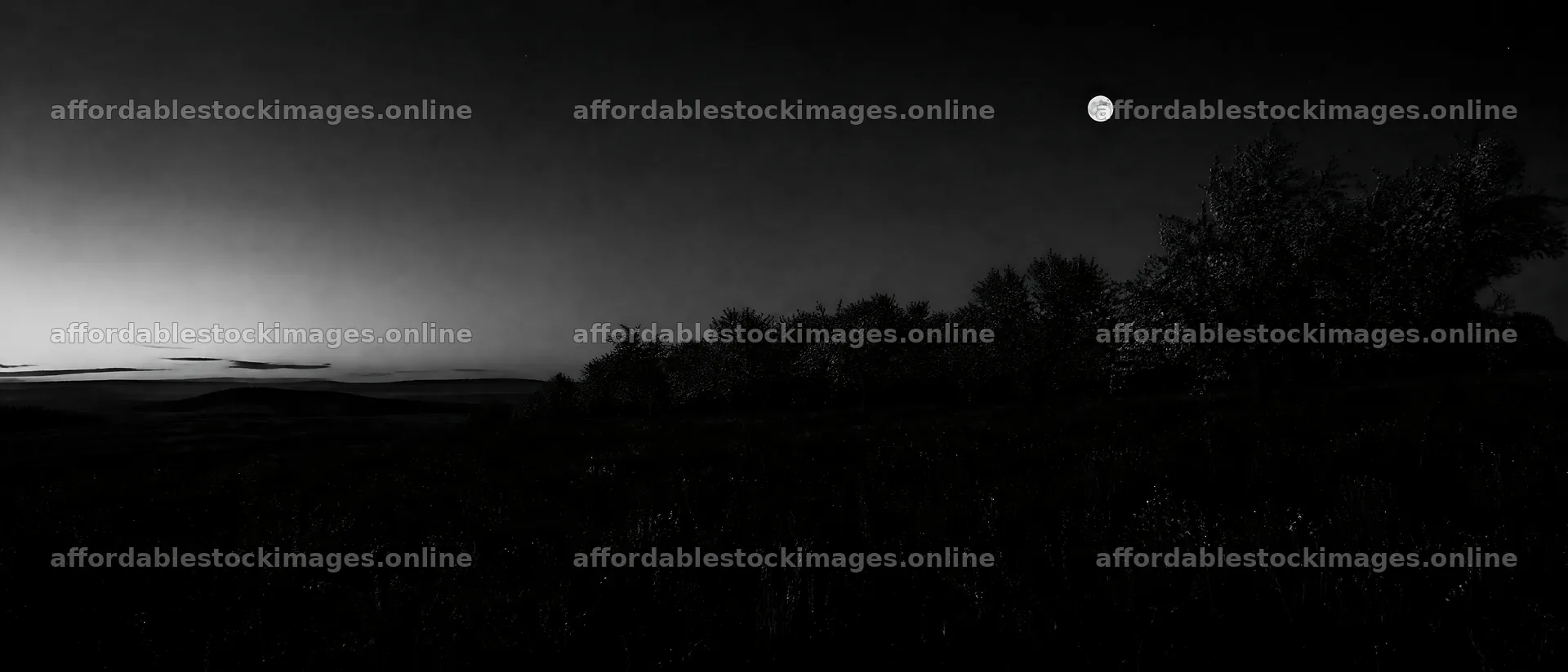 View of apple blossom meadow under a rising moon – stock images 12116x5200