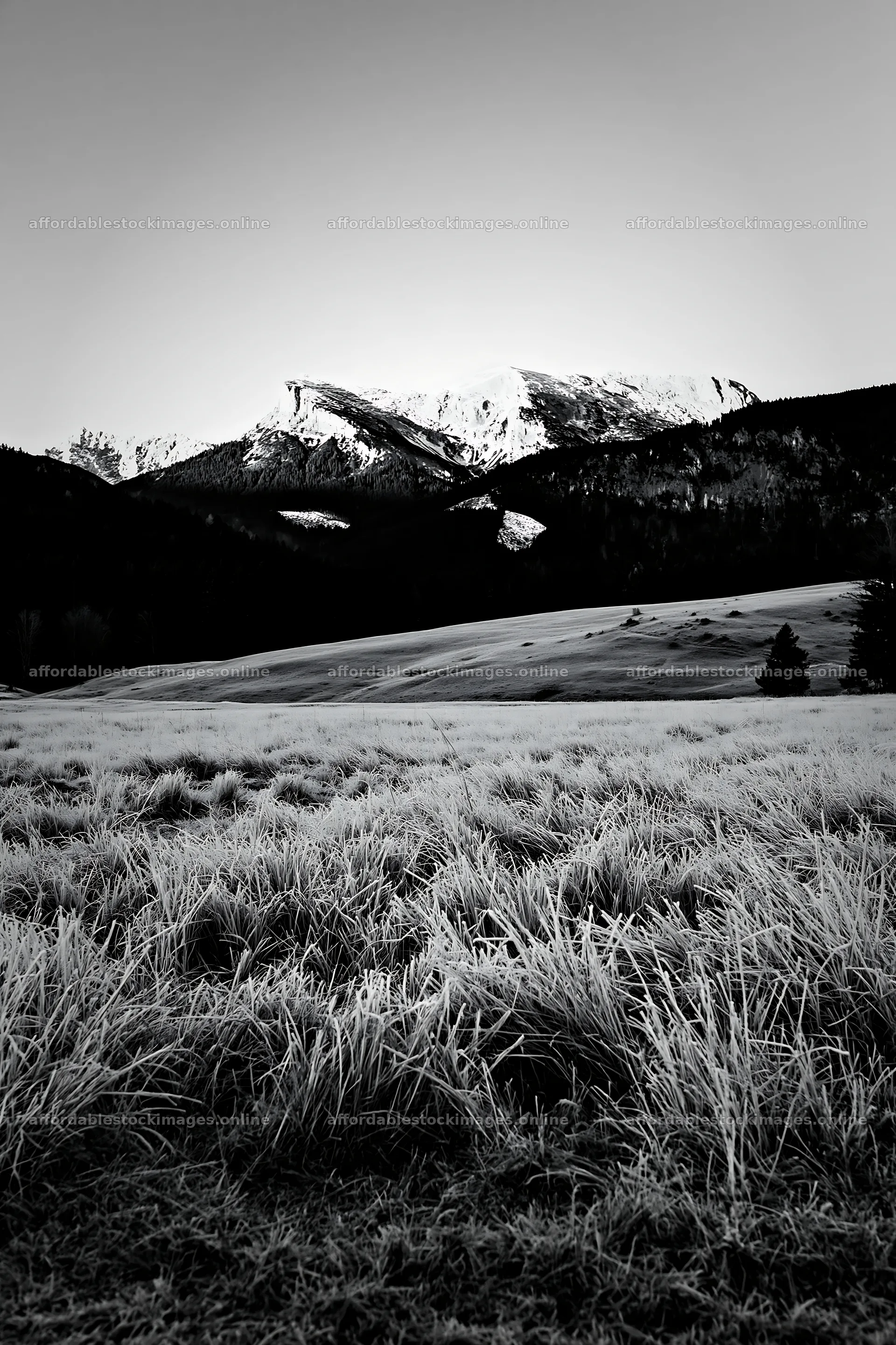 Frosty meadow at sunrise with mountains in the background – stock images 6480x9722