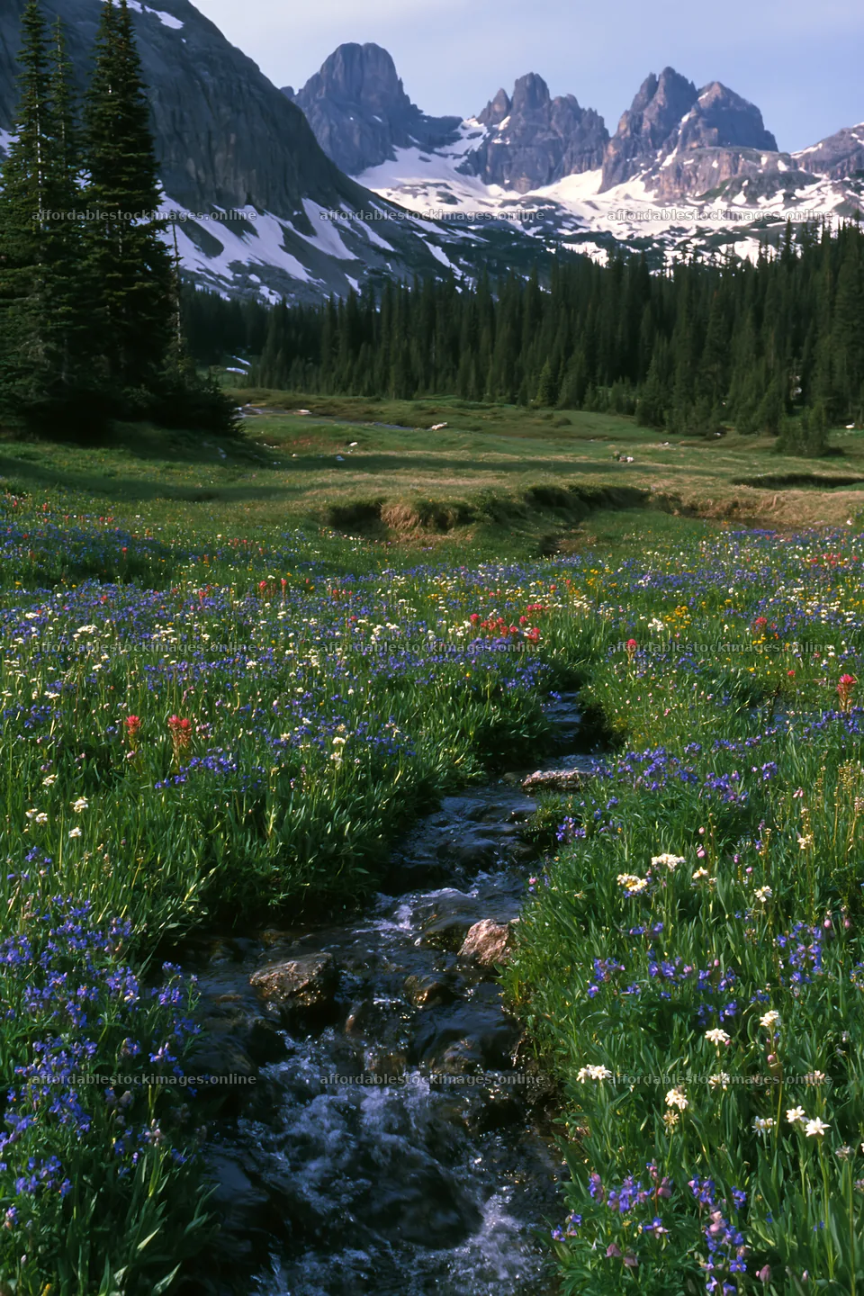 Rolling valley meadows with stream and mountains in the – stock images 6480x9722
