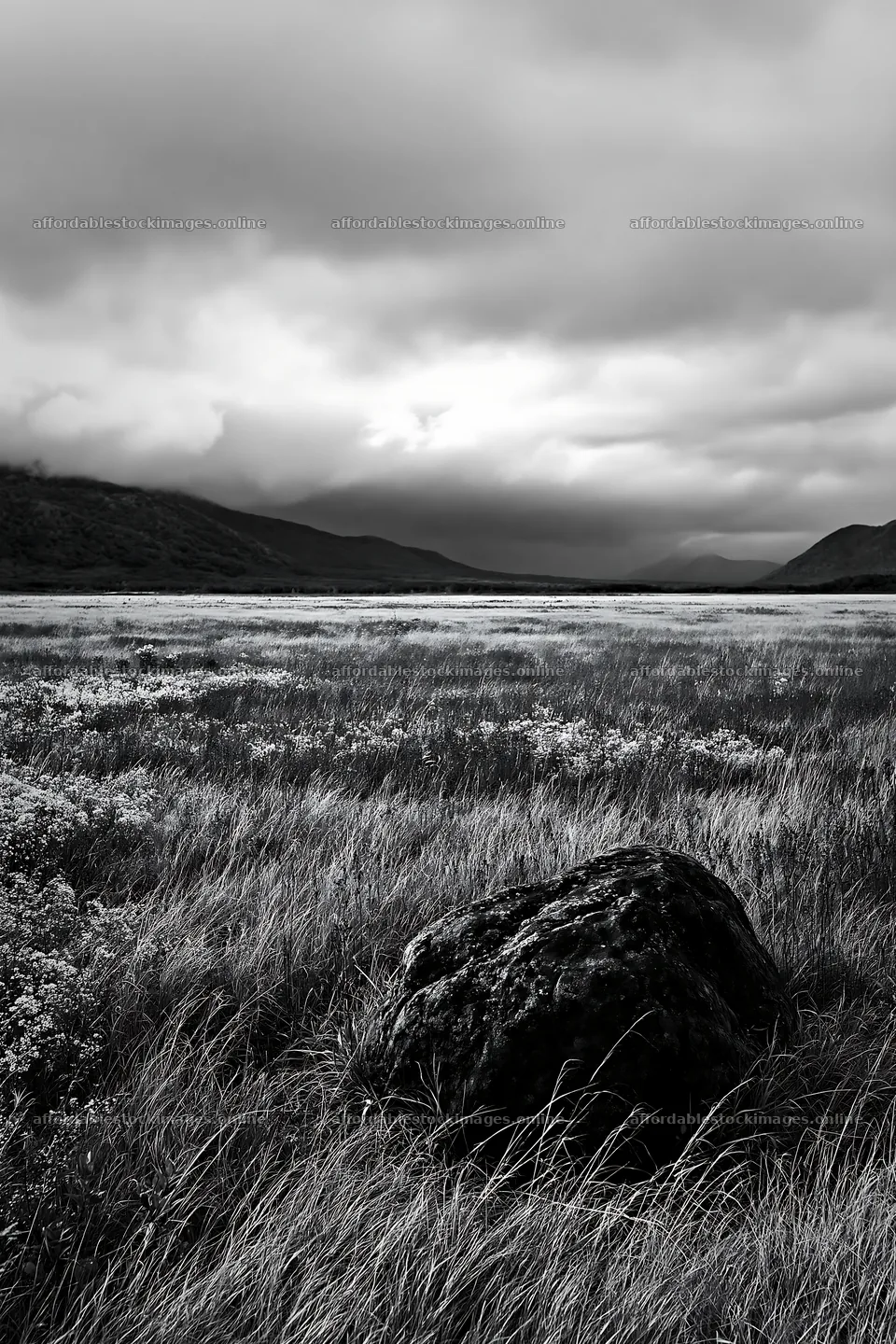 Aomori climate resilient meadow with boulder – stock images 6480x9722