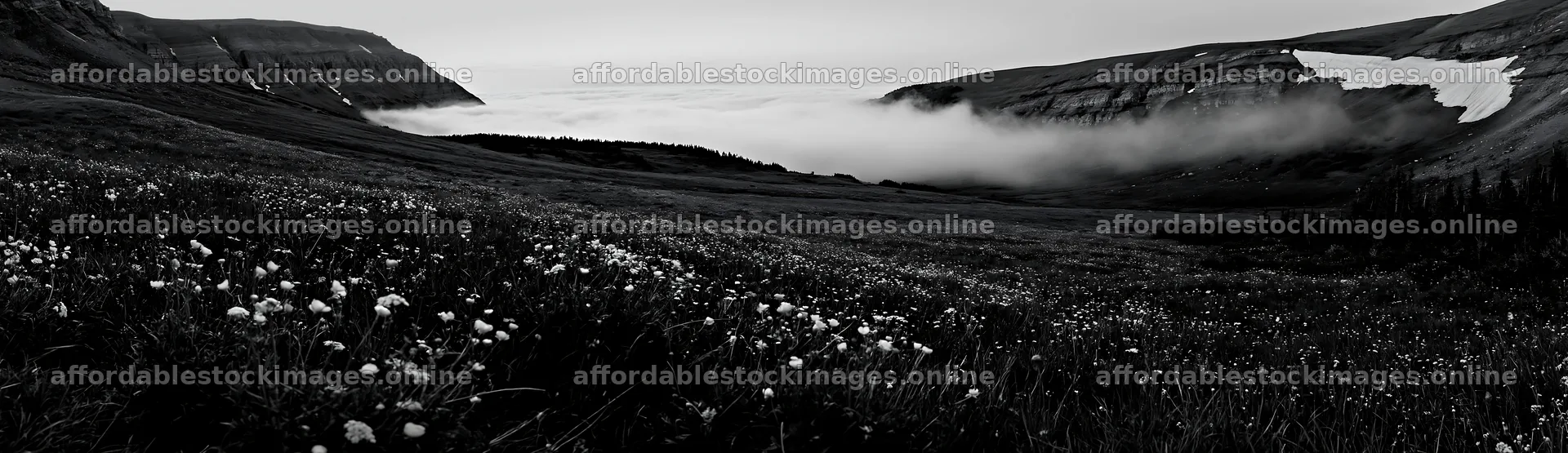 Colorful buttercup meadow in mountain landscape with fog – stock images 14762x4268