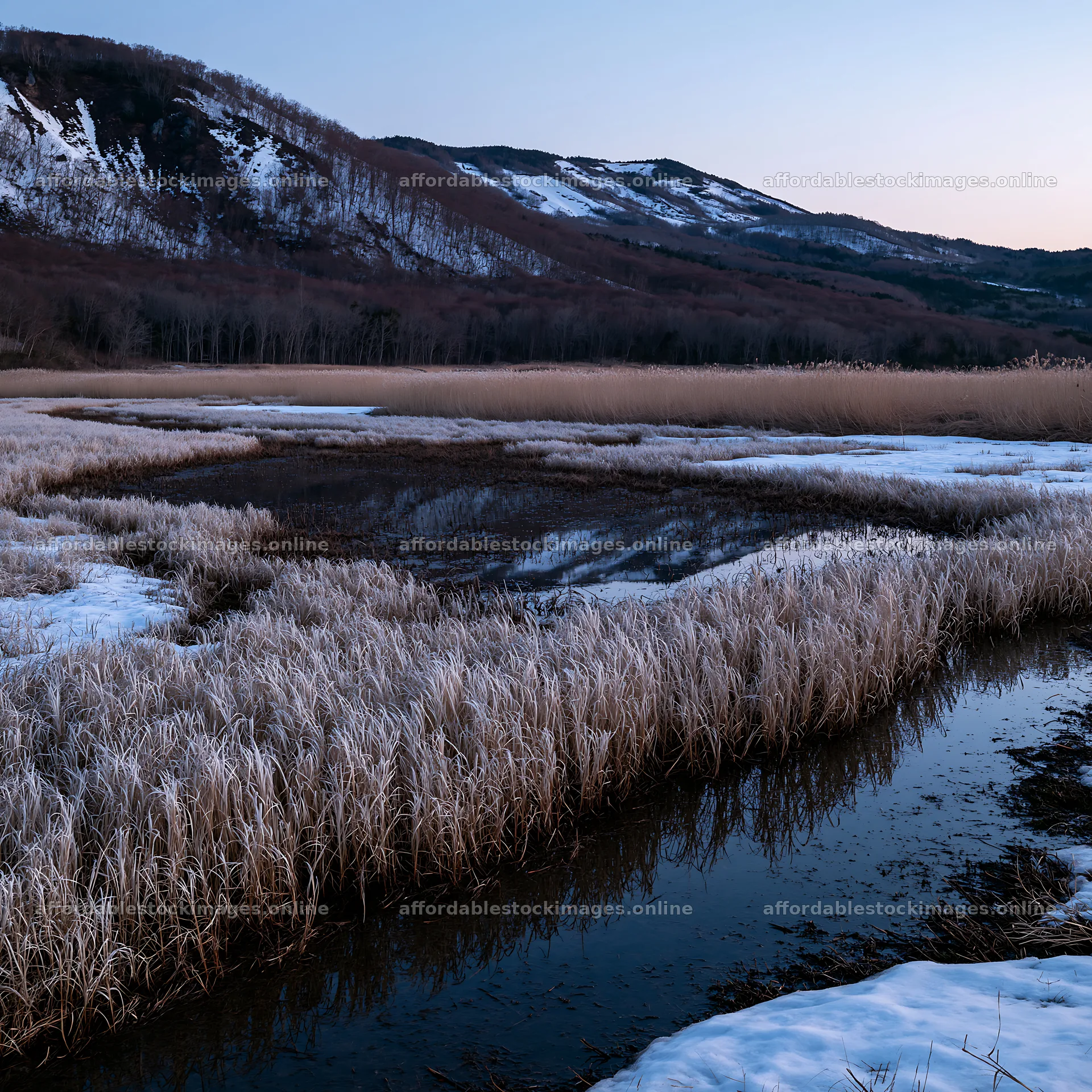 Akita snowmelt meadow with silver grasses at dusk – stock images 7938x7938