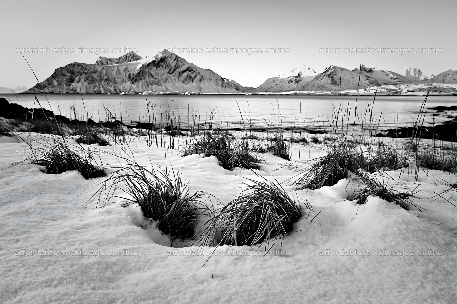 Lofoten coastal meadow covered in winter snow – stock images 9722x6480