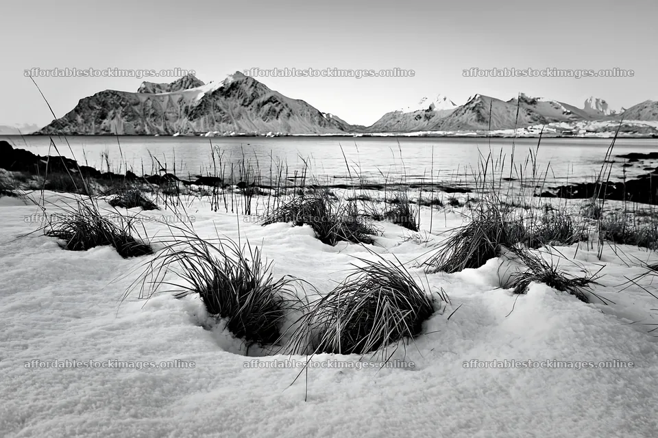 Lofoten coastal meadow covered in winter snow – stock images 9722x6480