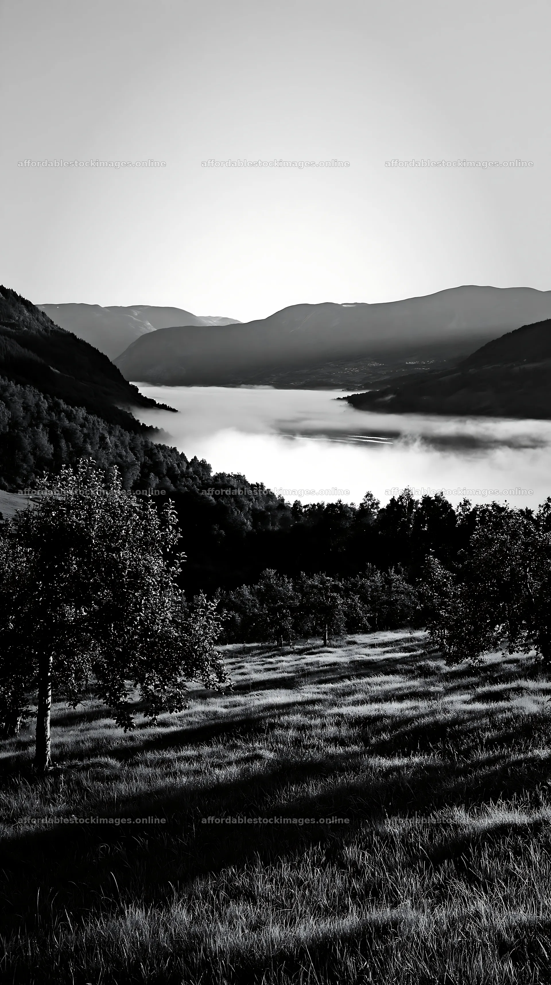 Fjord orchard meadow with clouds in the valley below – stock images 5938x10608