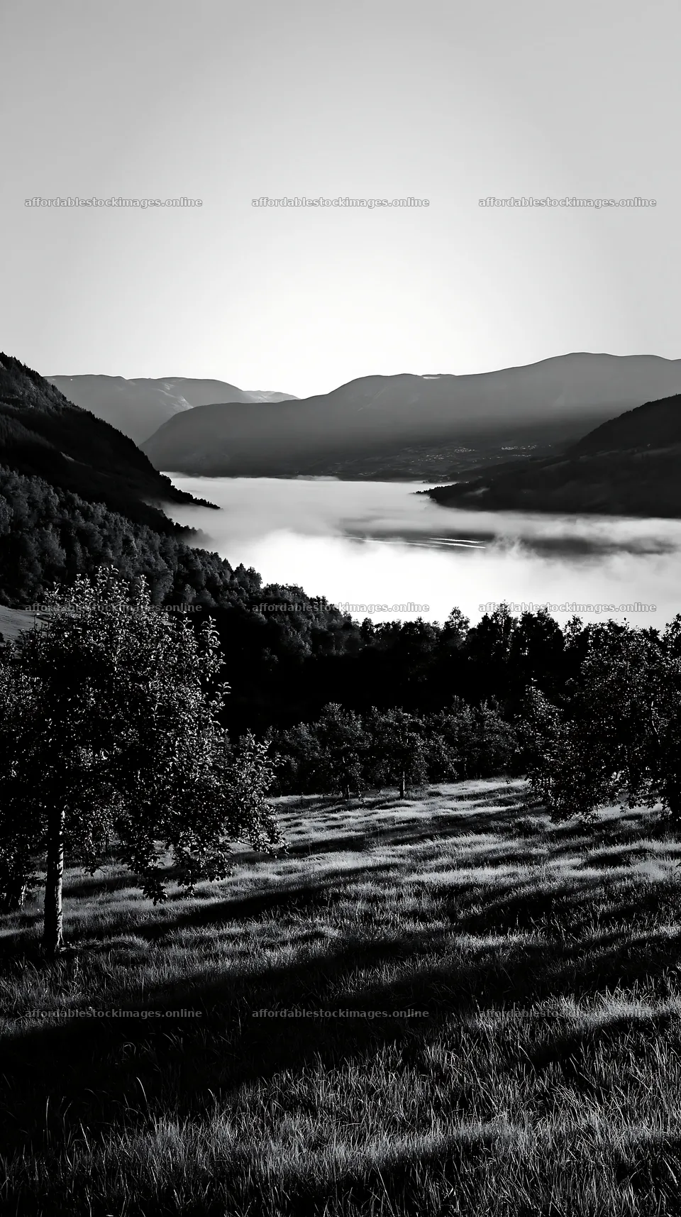 Fjord orchard meadow with clouds in the valley below – stock images 5938x10608