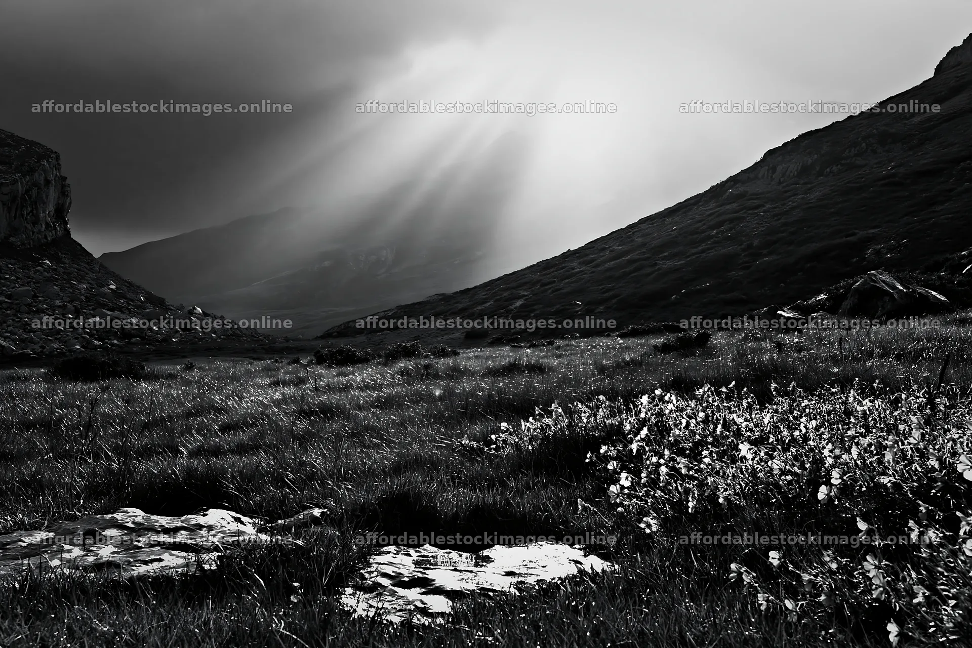 Sunrays illuminating Picos de Europa meadow during the day – stock images 9722x6480