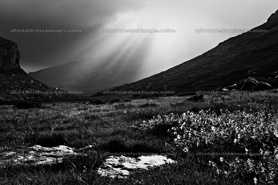 Sunrays illuminating Picos de Europa meadow during the day – stock images 9722x6480