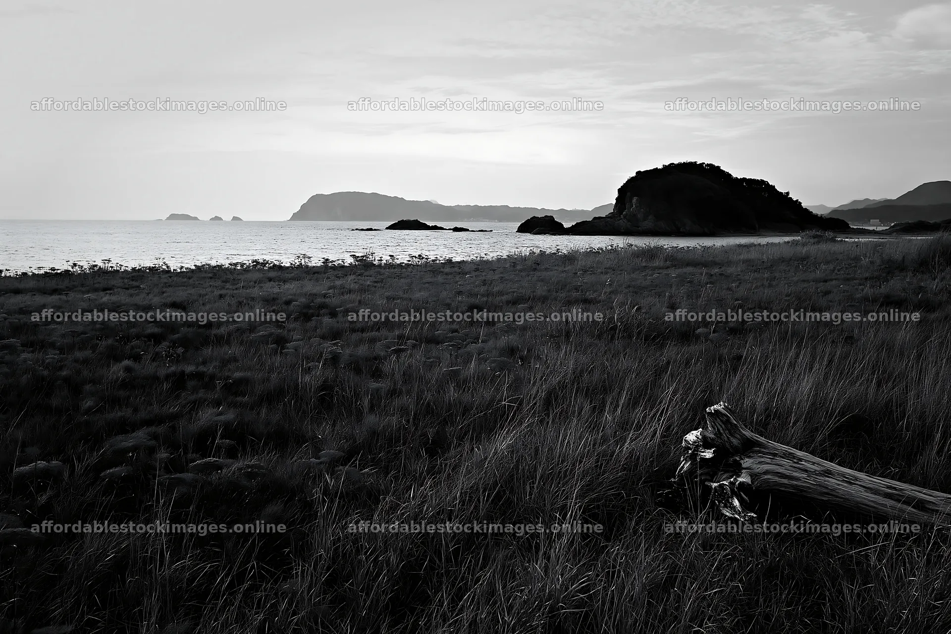 Nagasaki coastal meadow driftwood foreground mood – stock images 9722x6480