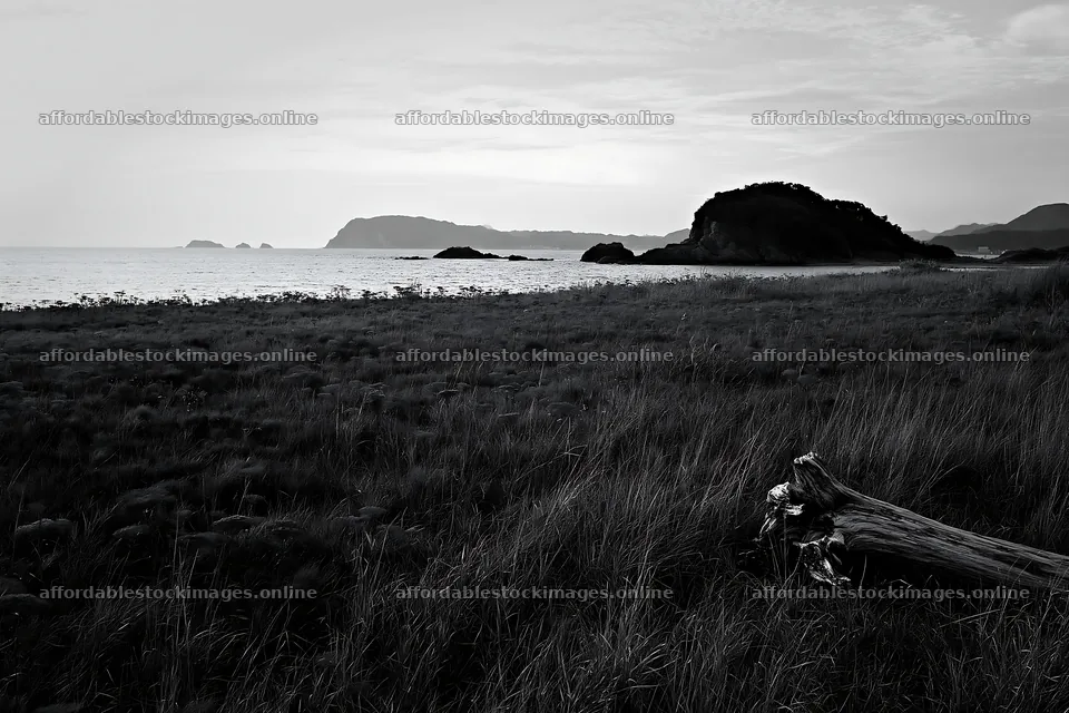 Nagasaki coastal meadow driftwood foreground mood – stock images 9722x6480