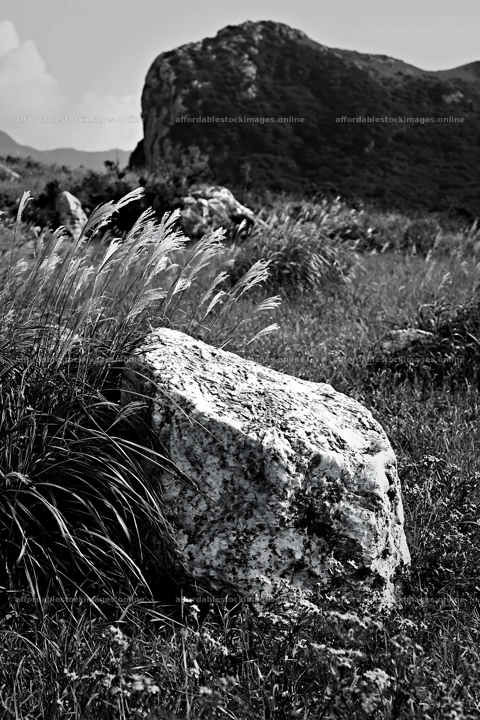 Yamaguchi limestone meadow with pale boulder and grass – stock images 6480x9722