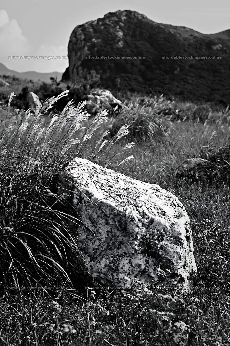 Yamaguchi limestone meadow with pale boulder and grass – stock images 6480x9722