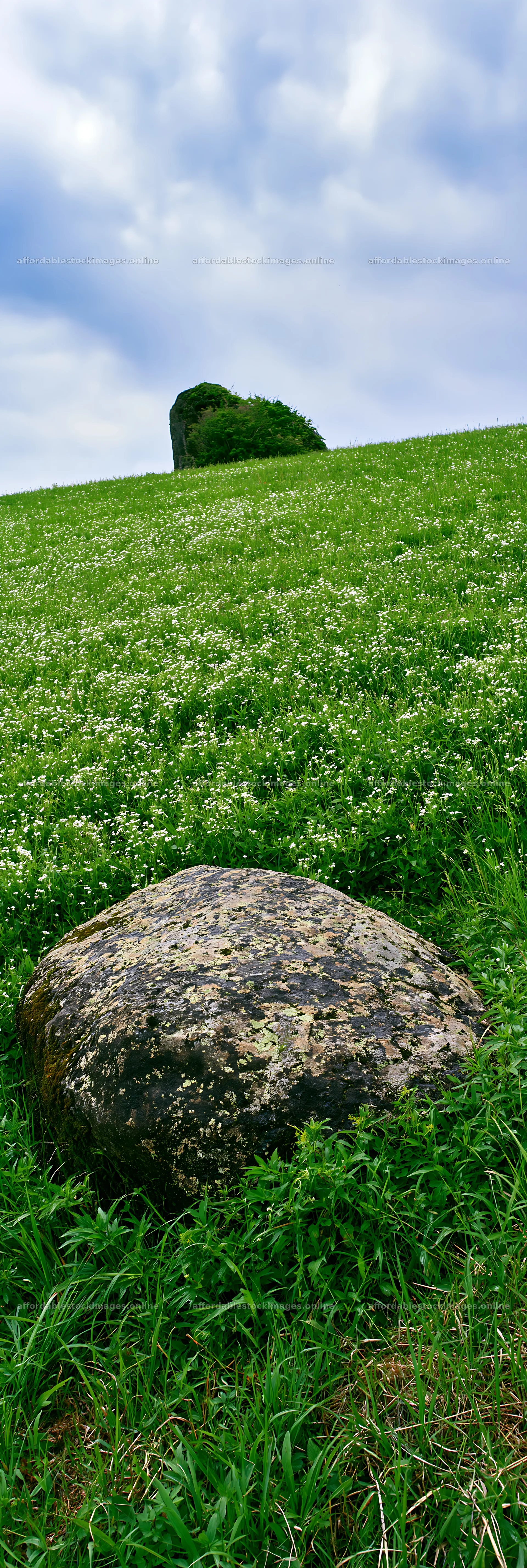 Mossy stone in Miyagi spring recovery meadow – stock images 4602x13690