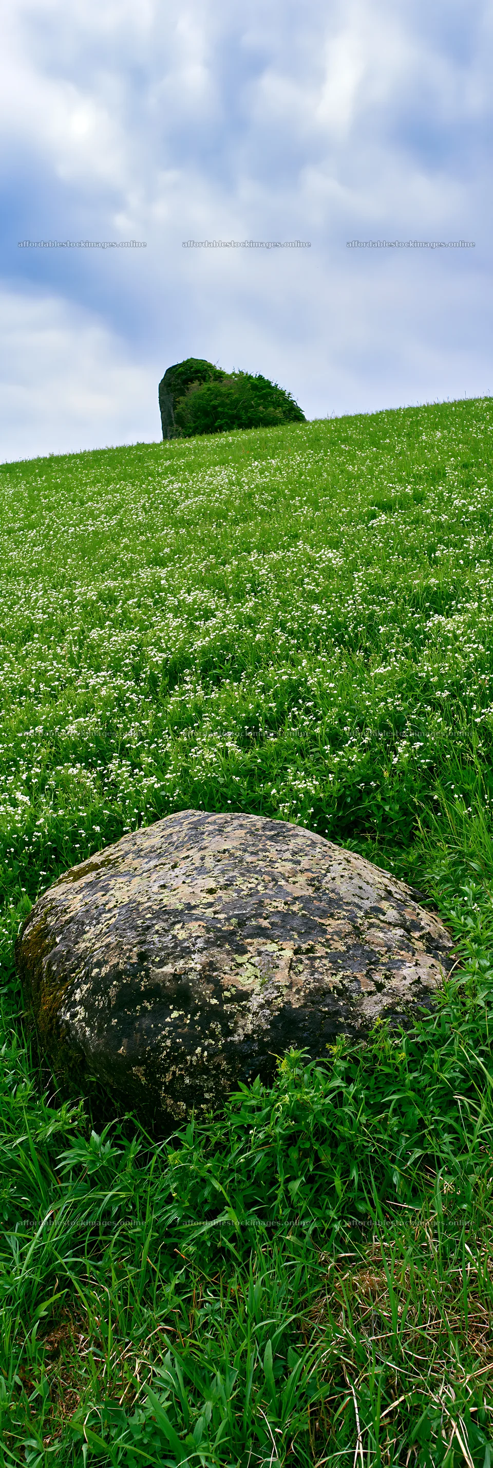 Mossy stone in Miyagi spring recovery meadow – stock images 4602x13690