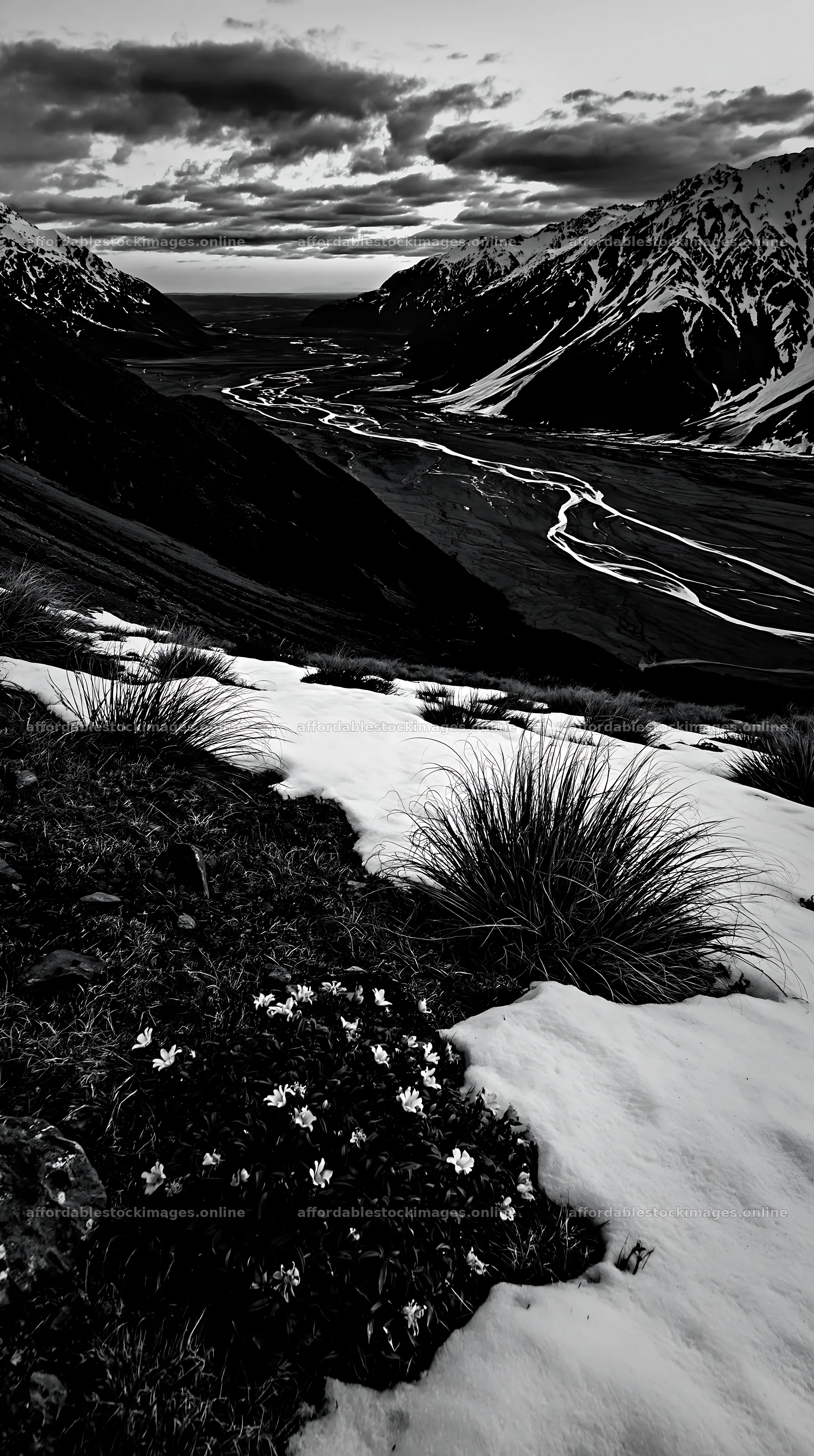 Snowmelt meadow with flowers and mountains during sunset – stock images 5938x10608
