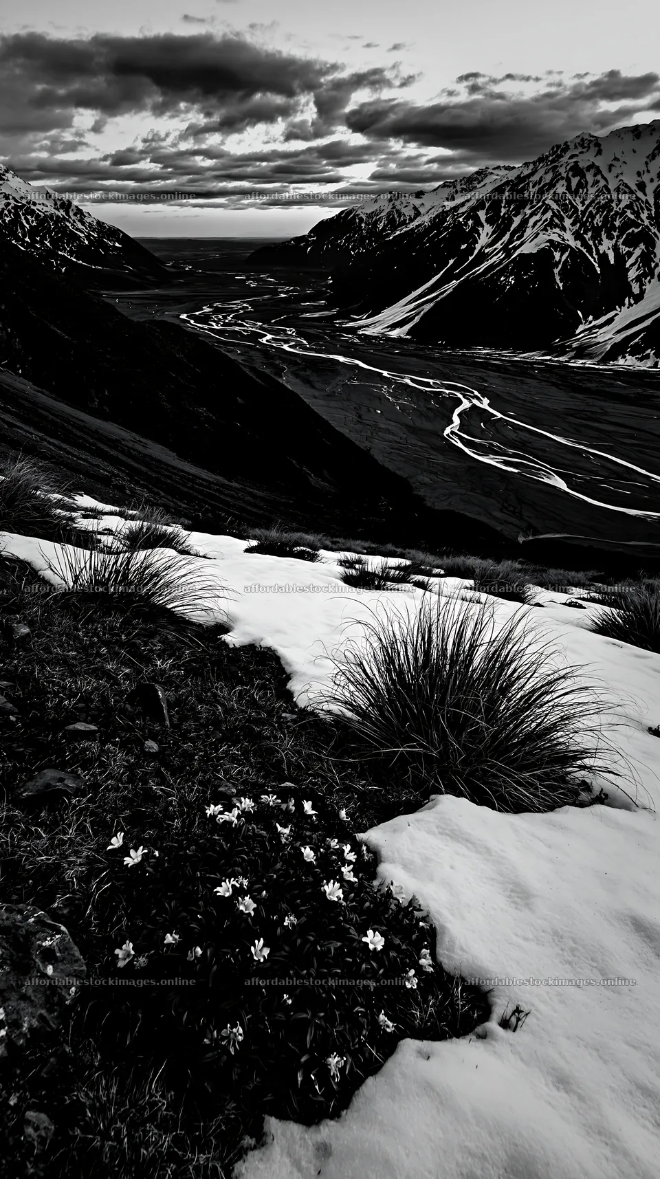 Snowmelt meadow with flowers and mountains during sunset – stock images 5938x10608
