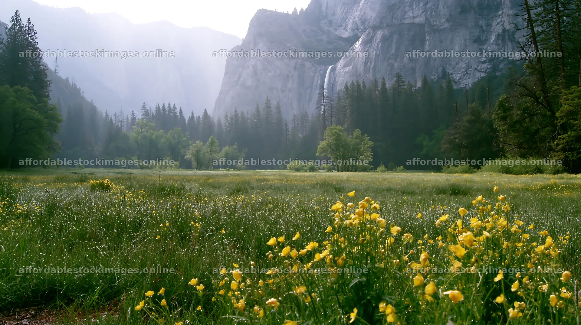 Cascade valley flower meadow with waterfall in the distance – stock images 10608x5938