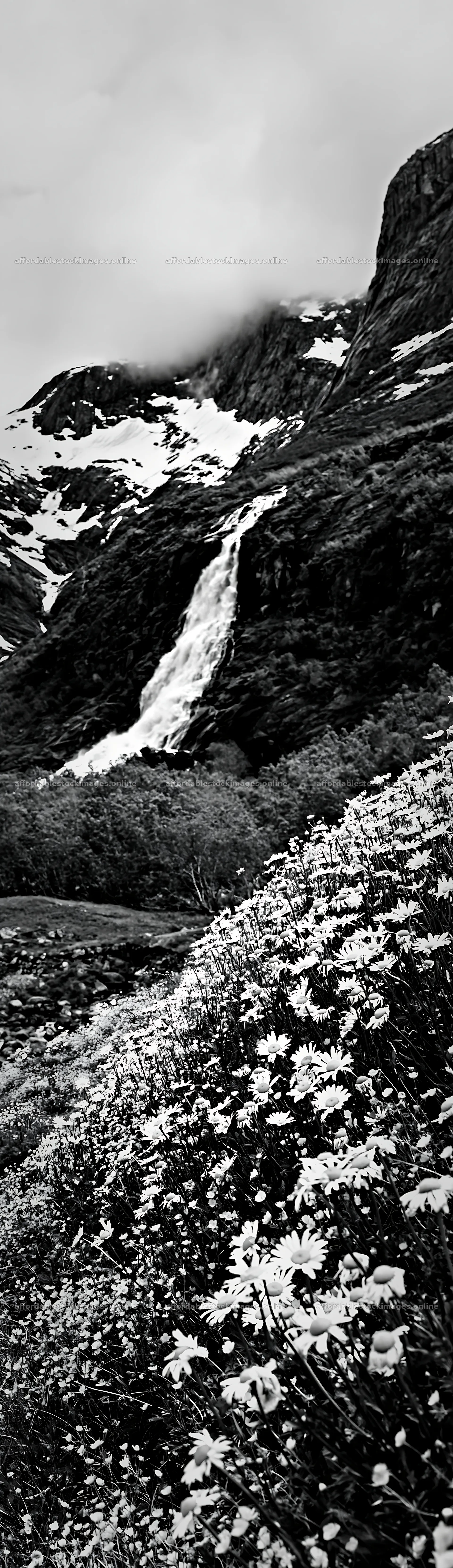 Colorful daisy meadow with waterfall in mountainous landscape – stock images 4268x14762