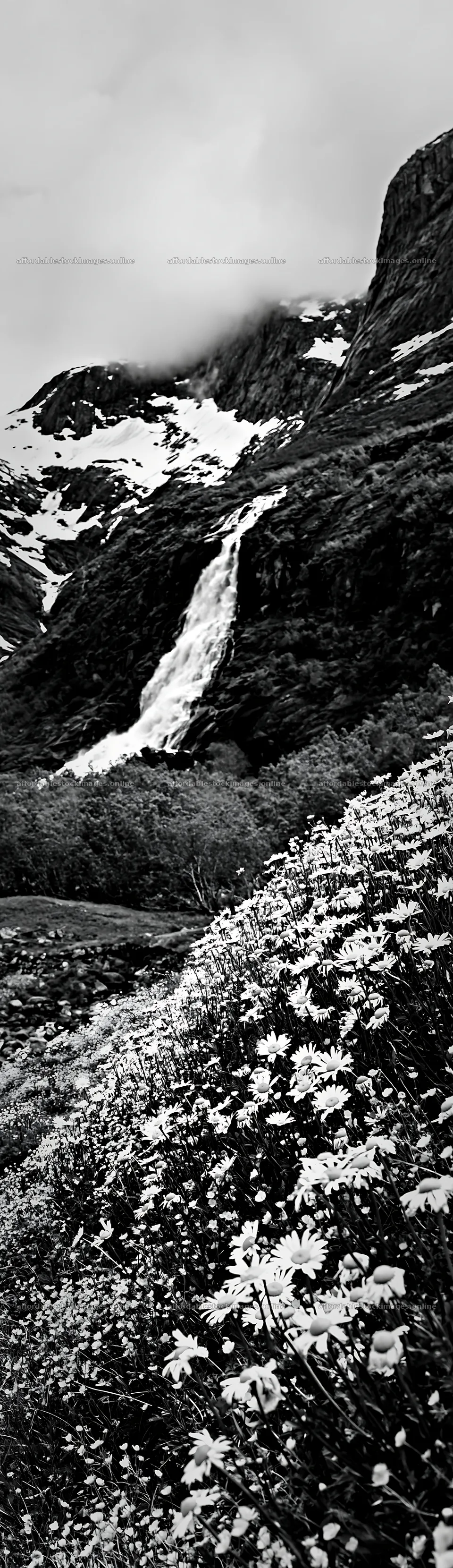 Colorful daisy meadow with waterfall in mountainous landscape – stock images 4268x14762