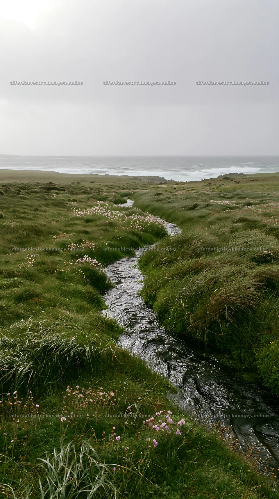 Winding stream through a grassy meadow near the ocean – stock images 5938x10608
