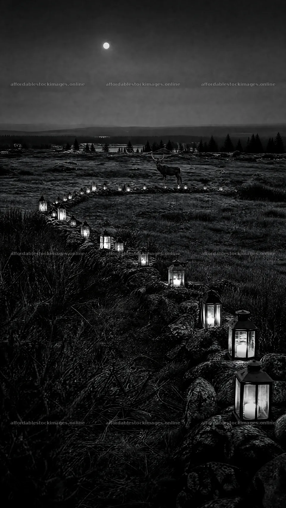 Colorful Christmas lanterns across meadow in night light – stock images 5952x10584
