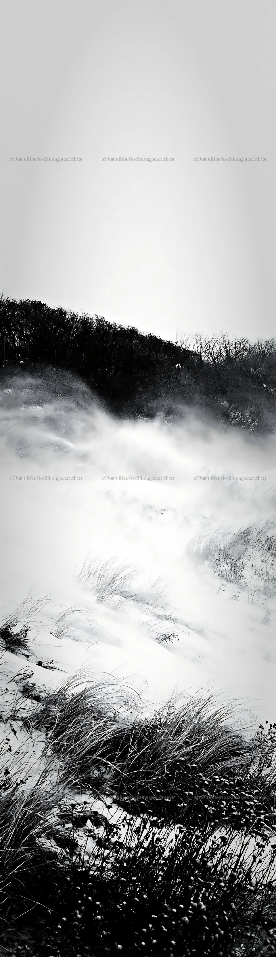 Snow covering dune meadow landscape – stock images 4268x14762