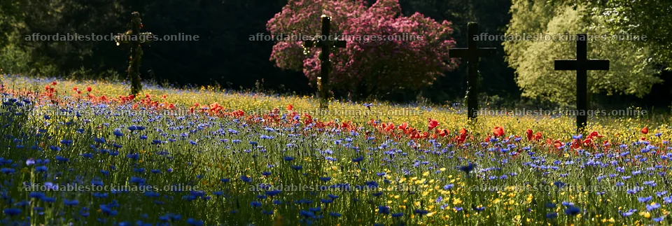 Four Christian crosses in a meadow with flowers – stock images 13690x4602