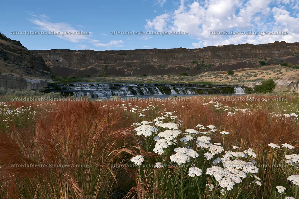 Wildflower meadow beside cascade in daylight – stock images 9722x6480