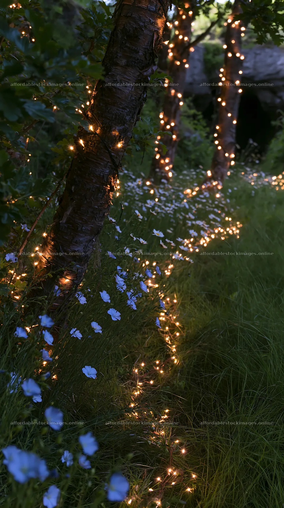 Christmas lights at dusk in a meadow by a cave – stock images 5938x10608