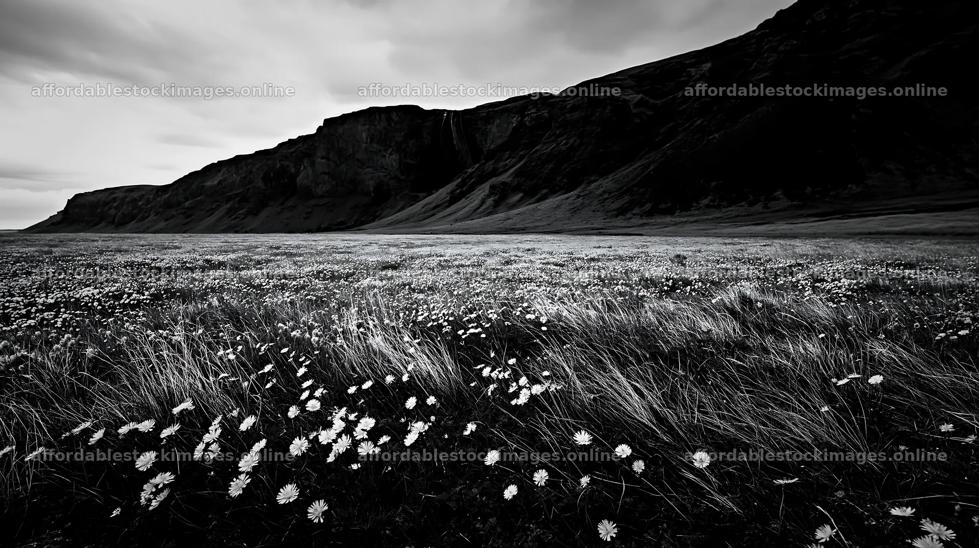 Flowering meadow with mountain view and waterfall in distance – stock images 10608x5938