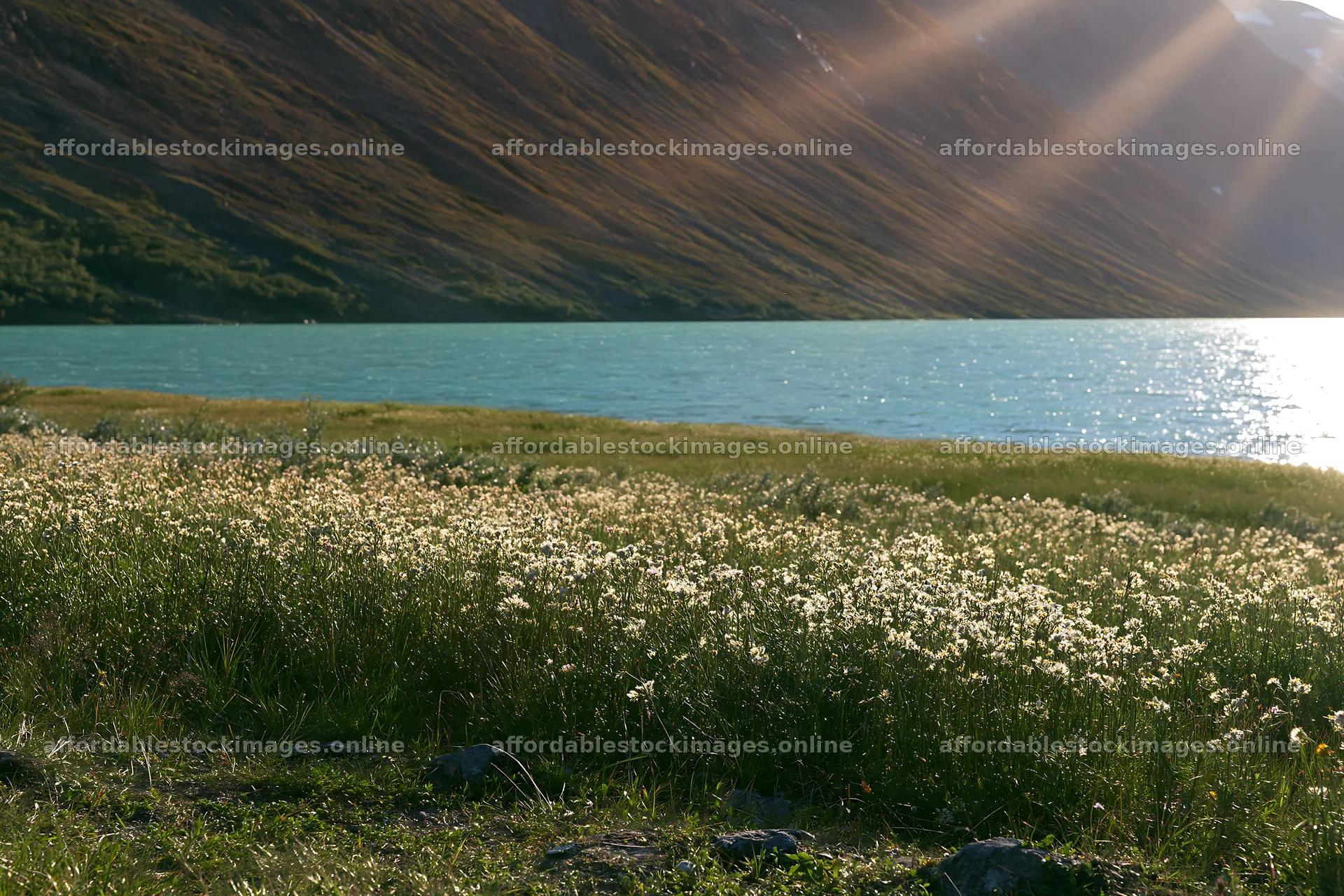 Jotunheimen valley meadow with sunbeams over the water – stock images 9722x6480