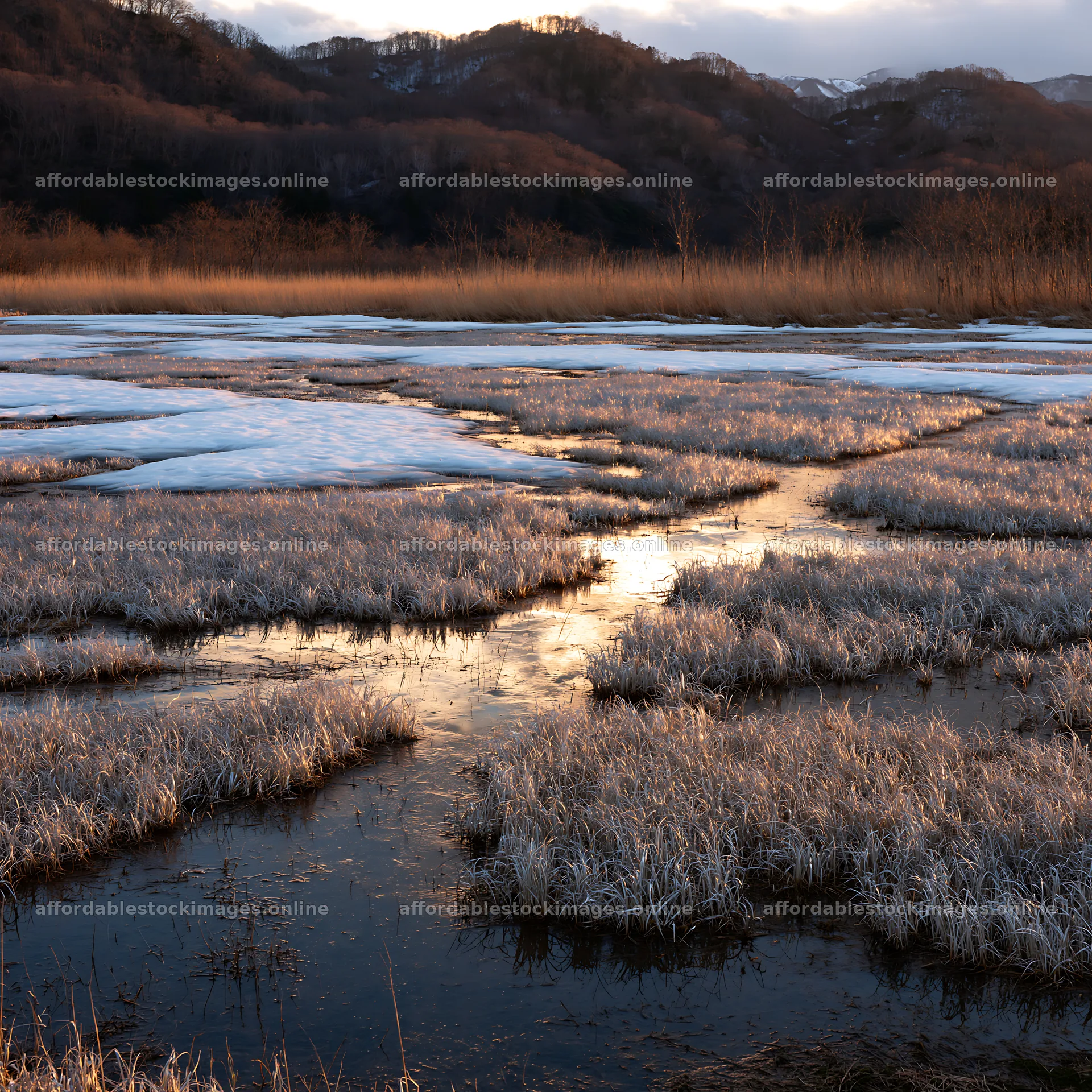 Snowmelt meadow with silver grasses in Akita at sunset – stock images 7938x7938