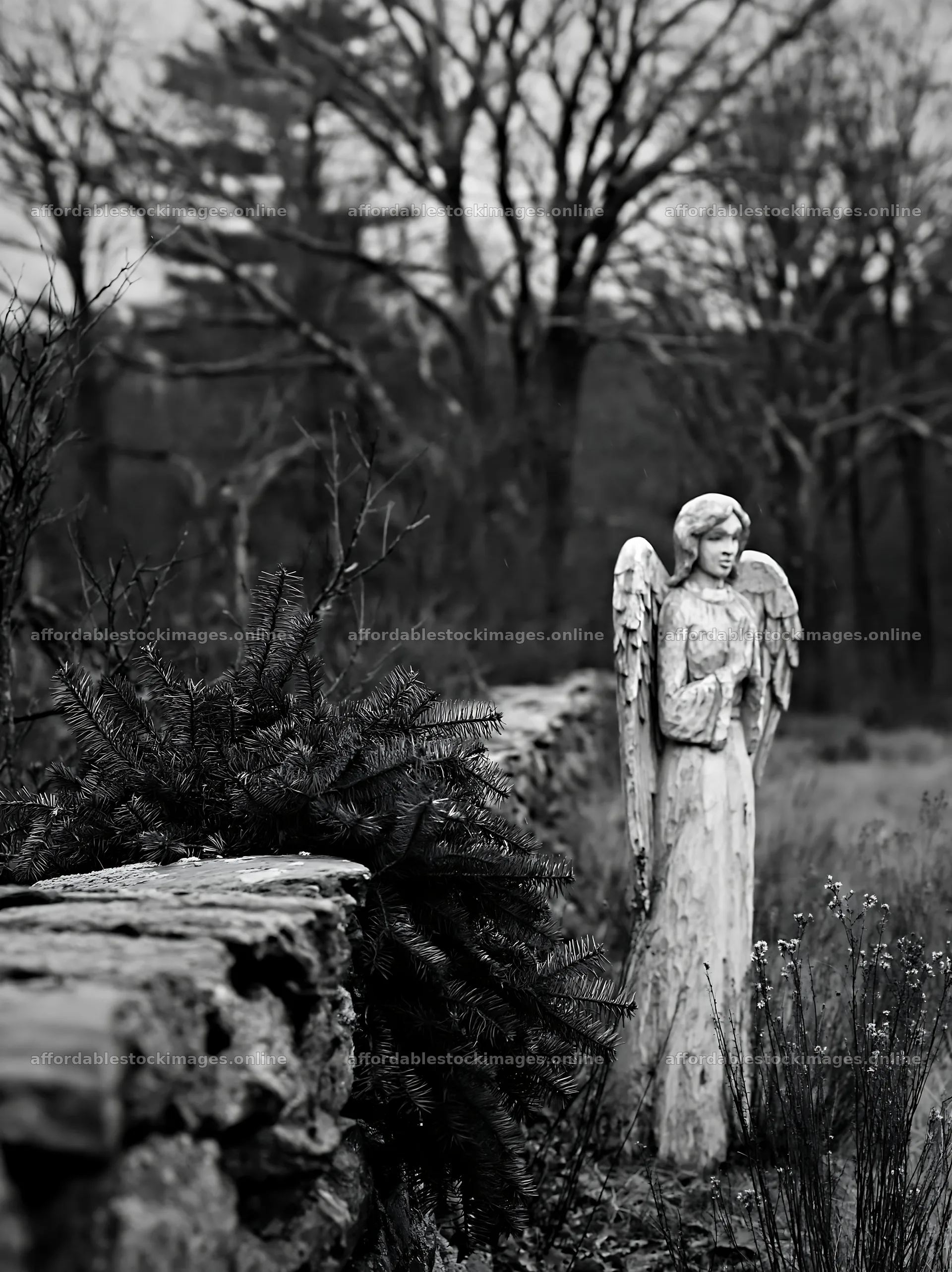 Christmas angel in meadow near stone wall – stock images 6866x9174