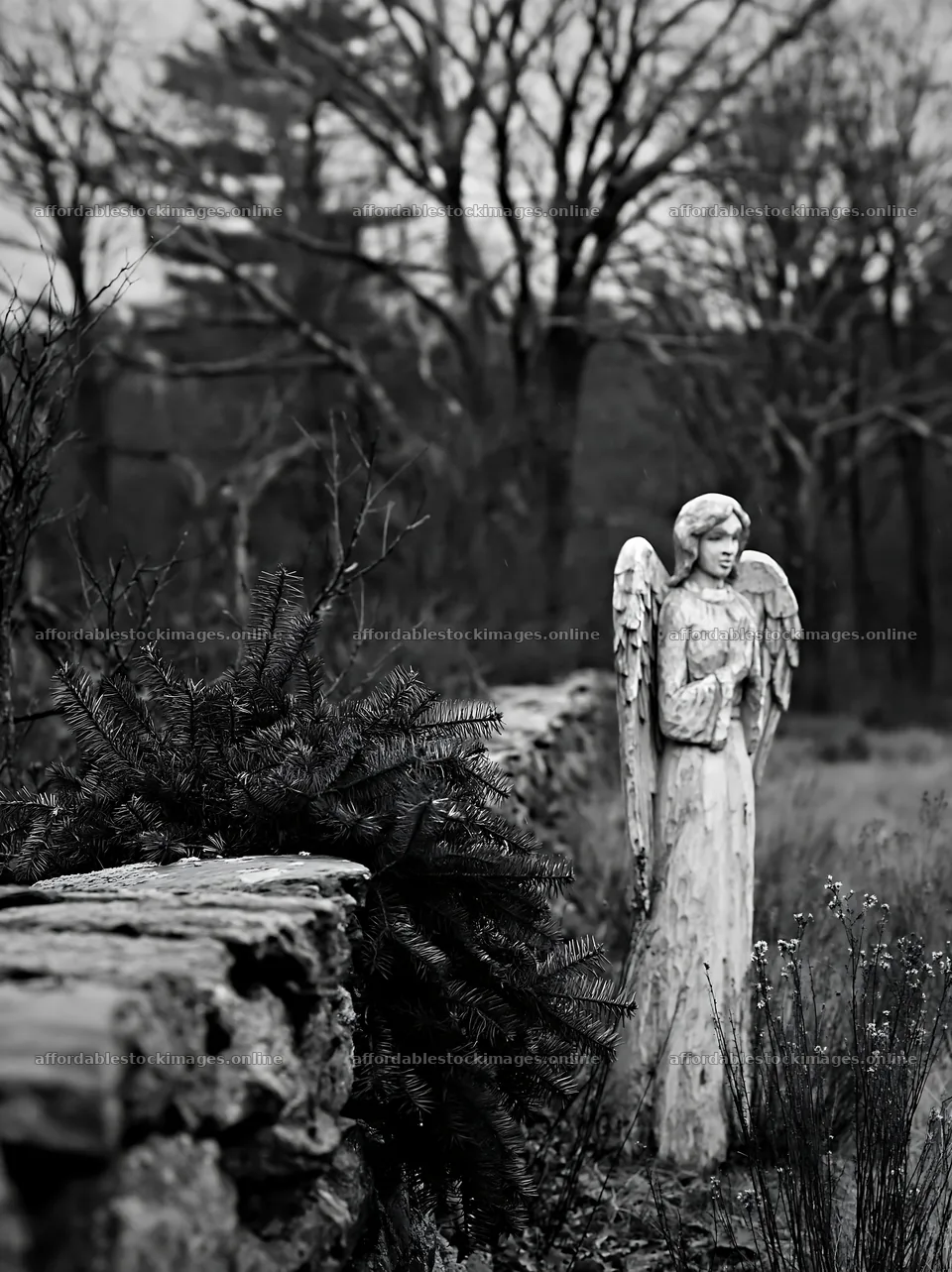 Christmas angel in meadow near stone wall – stock images 6866x9174